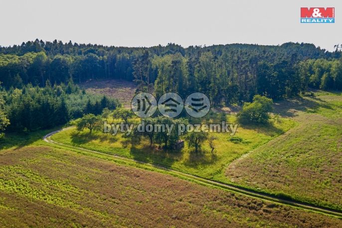 Prodej, Ovocný sad, Morašice