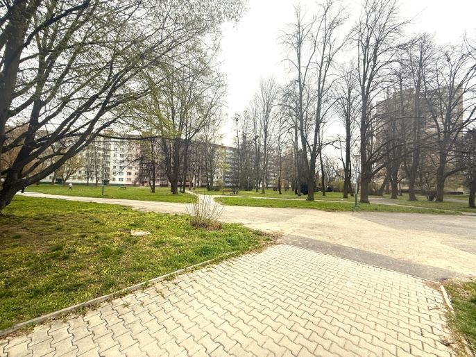 Prodej, Byt 1+kk, Ostrava