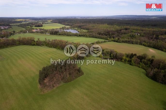 Prodej, Les, Borohrádek