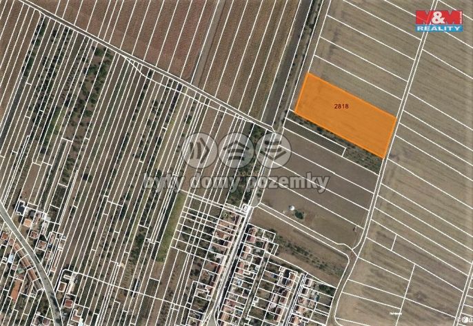 Prodej, Pole, Šakvice