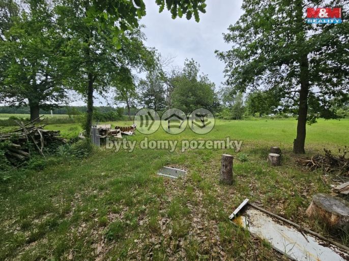 Prodej, Les, Tuřice