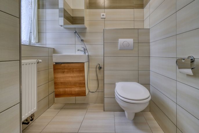 Prodej, Rodinný dům, Čistá