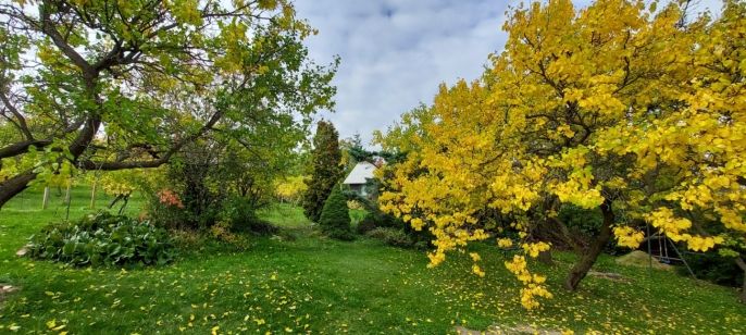 Prodej, Zahrada, Nový Šaldorf-Sedlešovice