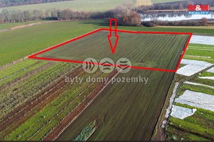 Prodej, Ovocný sad, Nové Dvory