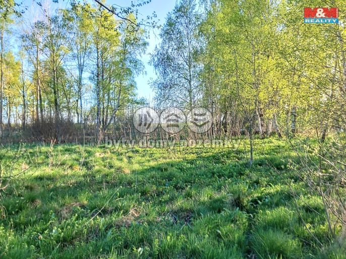 Prodej, Pozemek k bydlení, Stará Voda