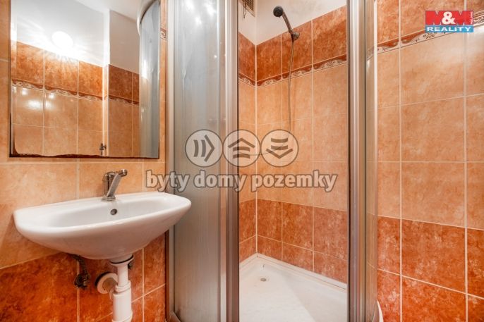 Prodej, Byt 3+1, Čistá