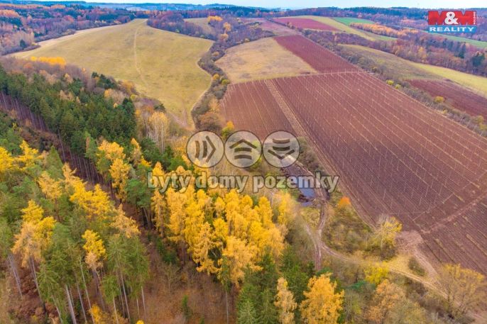 Prodej, Les, Tuchořice