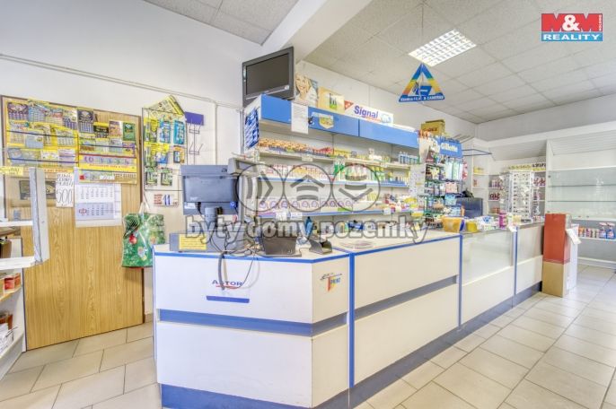 Pronájem, Obchod a služby, Bor