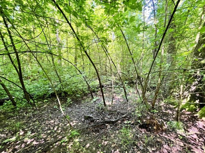 Prodej, Vodní plocha, Skalice u České Lípy