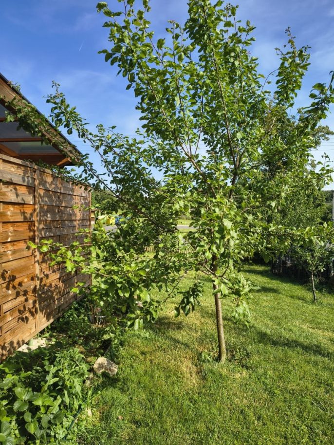 Prodej, Rodinný dům, Cerekvička-Rosice