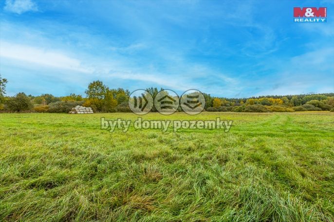 Prodej, Louka, Jestřebí