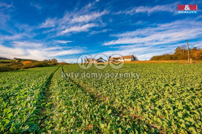 Prodej, Louka, Mladotice