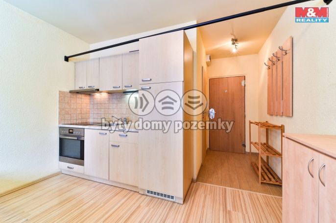 Prodej, Byt 1+kk, 20 m², Plzeň, Tichá