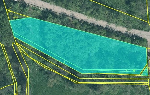 Prodej, Louka, Ždírec