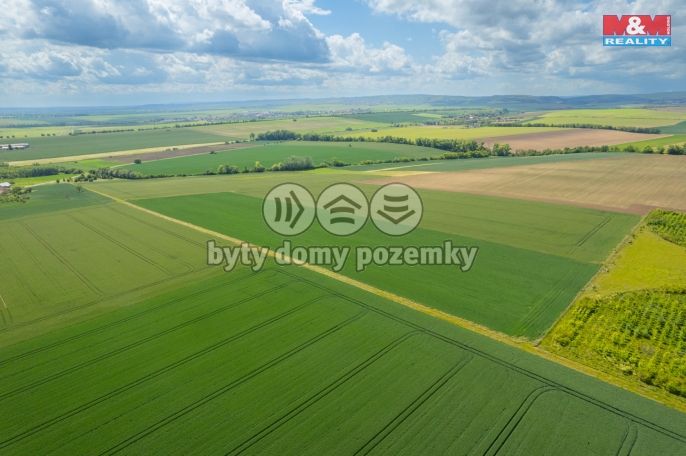 Prodej, Pole, Šumice