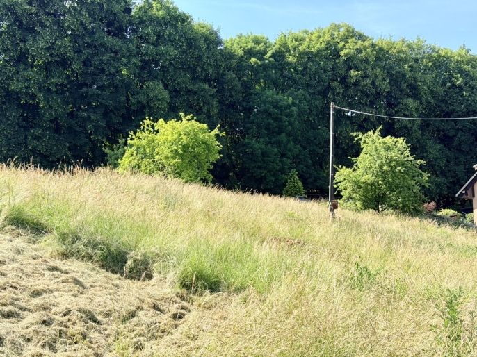 Prodej, Pozemek k bydlení, Ostrava