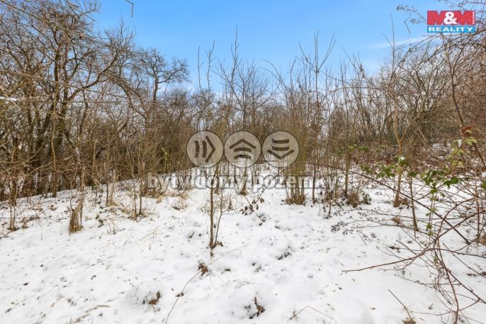 Prodej, Chata, Černolice