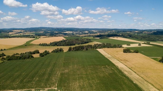 Prodej, Pole, Mysliboř