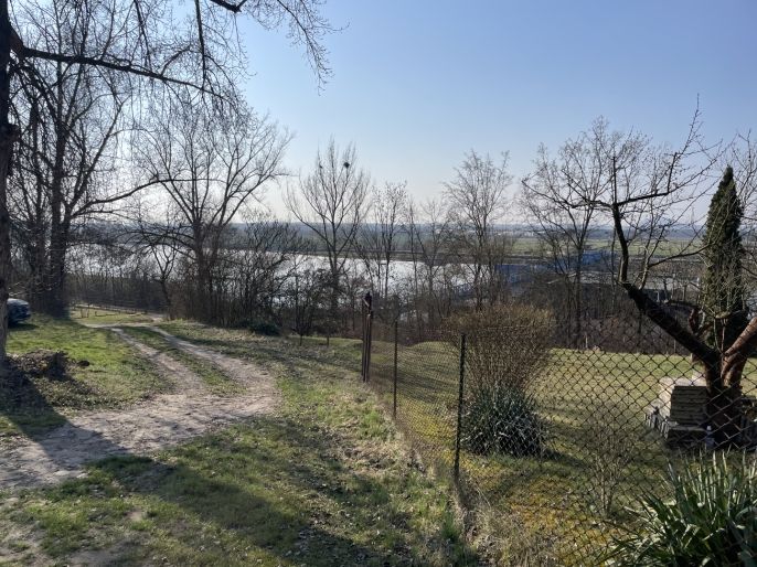 Prodej, Zahrada, Štětí