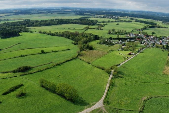 Prodej, Pastvina, Předotice