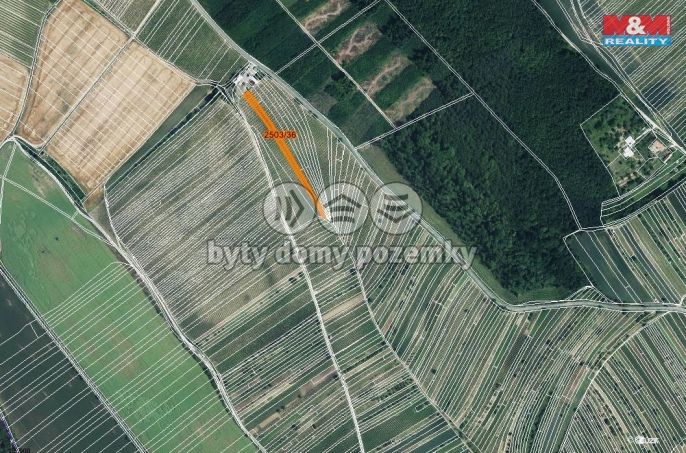 Prodej, Vinice, Dolní Bojanovice