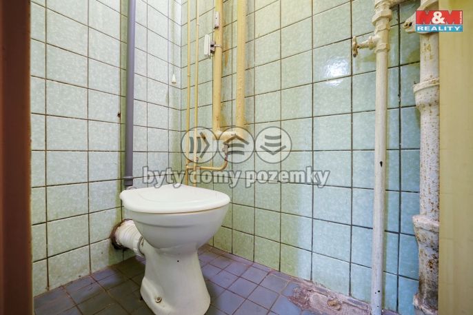 Pronájem, Obchod a služby, Třemošná