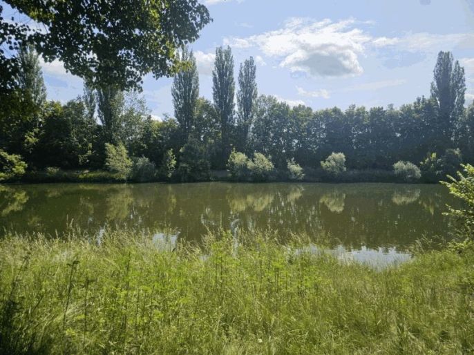 Prodej, Louka, Hradec Králové