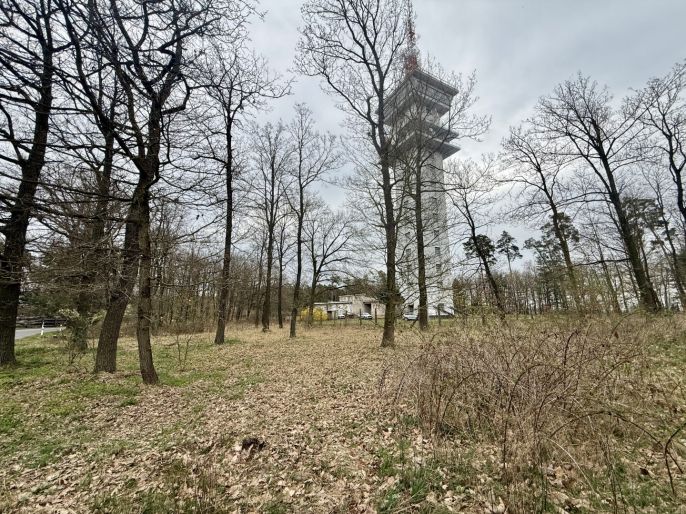 Prodej, Les, Býšť