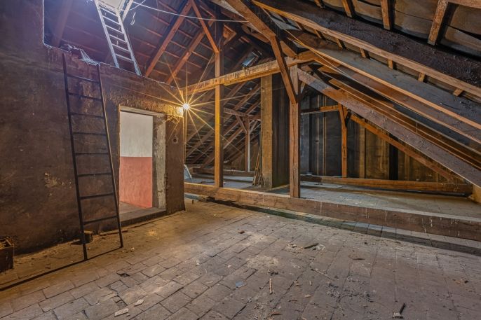 Prodej, Obchod a služby, Louny