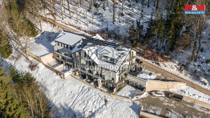 Prodej, Byt 2+kk, Vítkovice