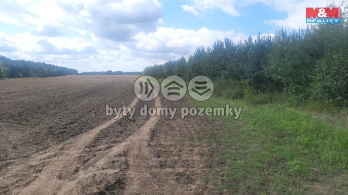 Prodej, Les, Březovice