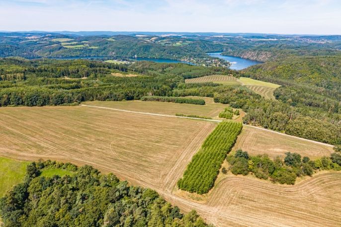 Prodej, Pole, Křečovice