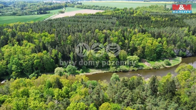 Prodej, Les, Černýšovice