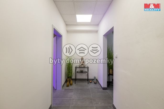 Pronájem, Obchodní objekt, Louny