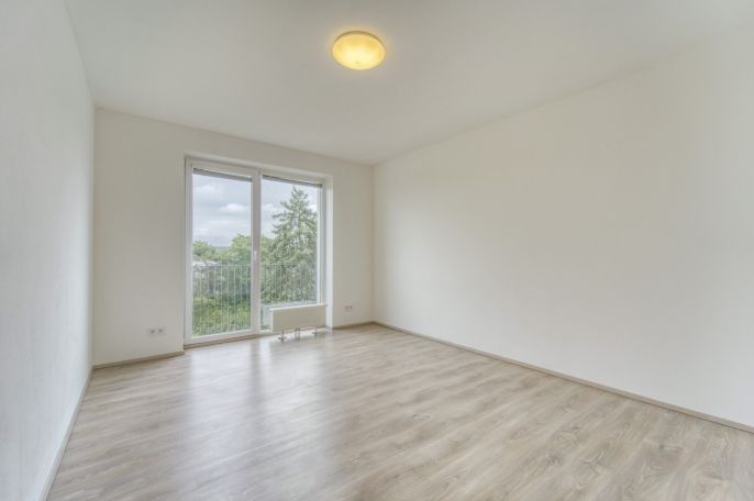 Pronájem, Byt 3+kk, Plzeň