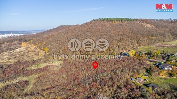 Prodej, Ostatní, Nepřevázka