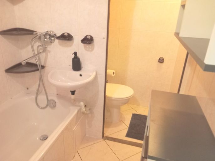 Pronájem, Byt 1+1, Sokolov