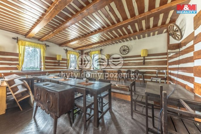 Prodej, Restaurace, stravování, Plavy