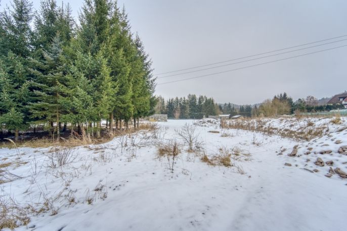 Prodej, Zahrada, Kyselka