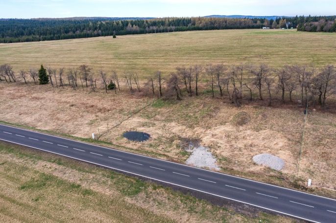 Prodej, Zahrada, Moldava