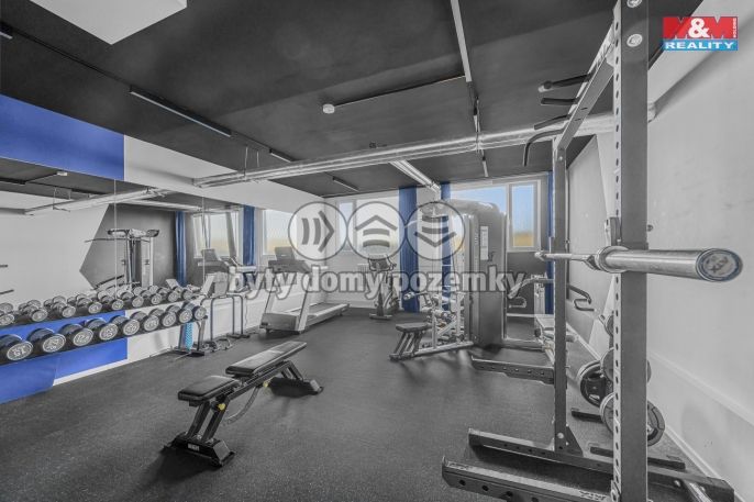 Prodej, Byt 1+kk, Praha