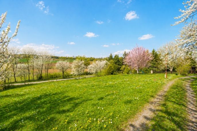 Prodej, Zahrada, Postoloprty