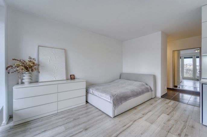 Prodej, Byt 1+kk, Plzeň