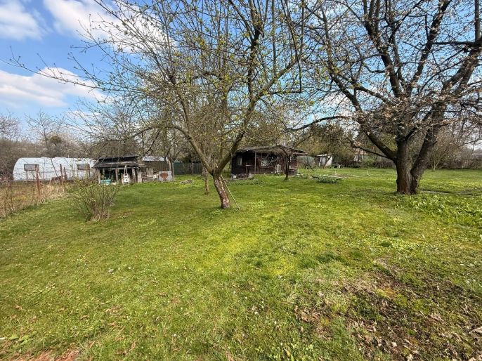 Prodej, Zahrada, Havířov