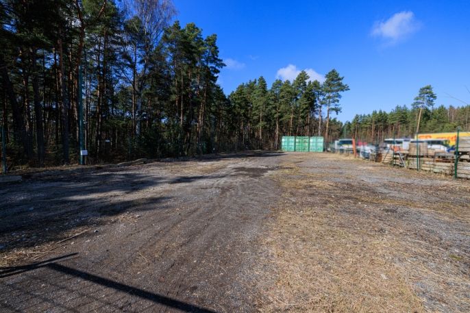 Pronájem, Ostatní, Plzeň