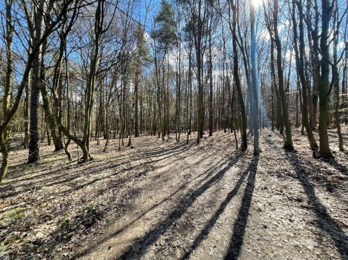 Prodej, Pozemek k bydlení, Morašice