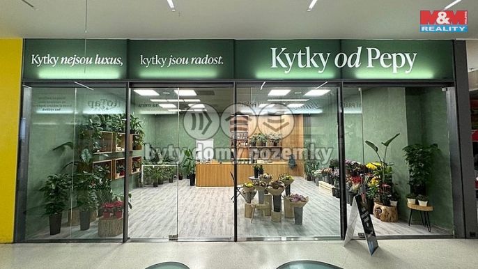 Pronájem, Obchod a služby, Brno