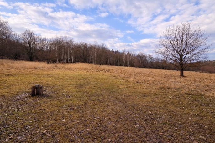 Prodej, Pastvina, Křečovice