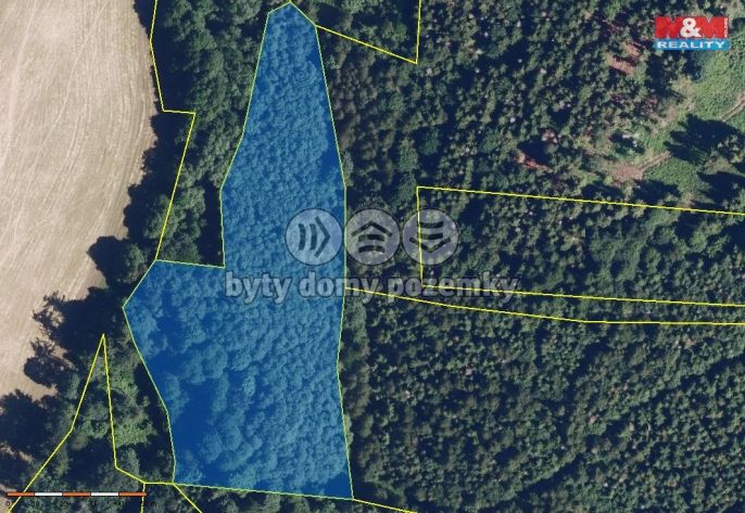 Prodej, Les, Jiříkov