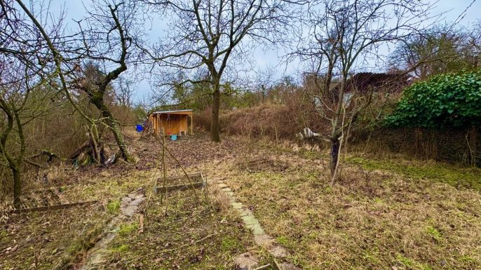 Pronájem, Zahrada, Brno